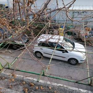 ISTRA,FAŽANA- Obiteljska kuća 150m od mora!