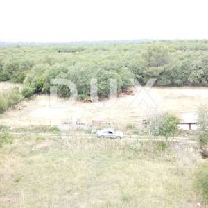 ISTRA,GALIŽANA - Poljoprivredno zemljište
