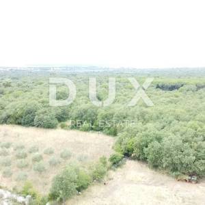 ISTRA,GALIŽANA - Poljoprivredno zemljište