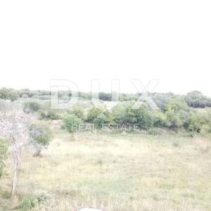 ISTRA,GALIŽANA - Poljoprivredno zemljište