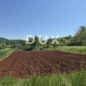 ISTRA,GROŽNJAN - Autentična istarska kuća s dodatnim građevinskim zemljištem