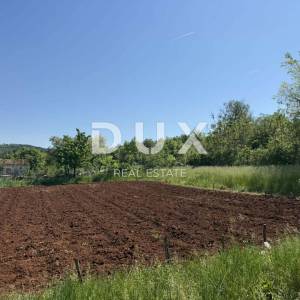 ISTRA,GROŽNJAN - Autentična istarska kuća s dodatnim građevinskim zemljištem