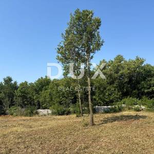 ISTRA,LABIN(OKOLICA) -  Građevinsko zemljište u blizini mora s pogledom
