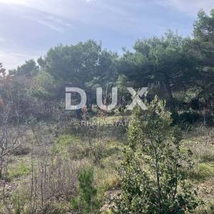 ISTRA,LABIN(OKOLICA) - Građevinsko zemljište s projektom na osami okruženo šumom