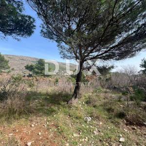 ISTRA,LABIN(OKOLICA) - Građevinsko zemljište s projektom na osami okruženo šumom