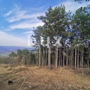 ISTRA,MOTOVUN-Poljoprivredno zemljište s predivnim pogledom