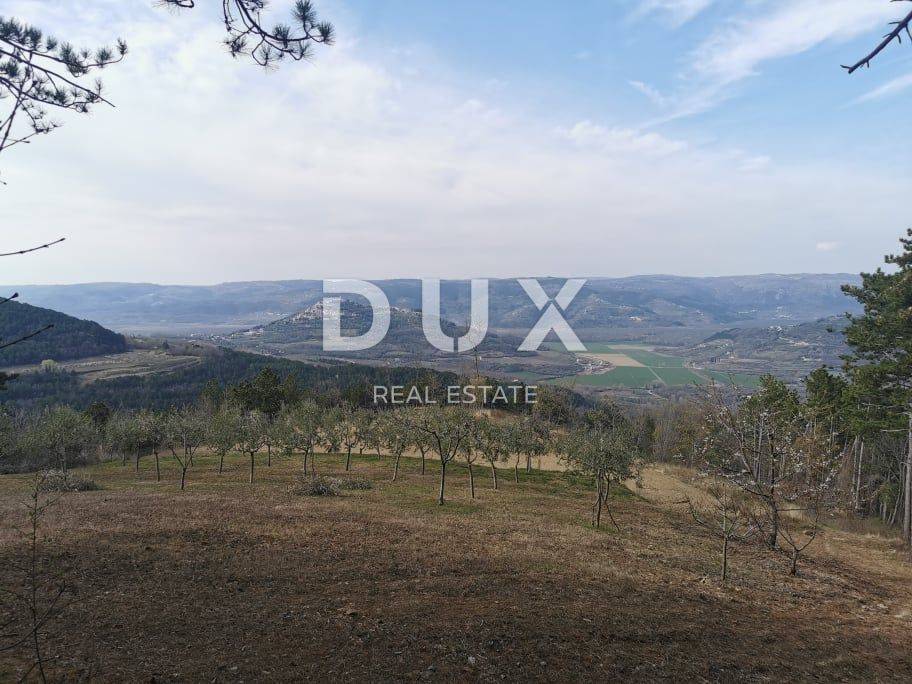 ISTRA,MOTOVUN-Poljoprivredno zemljište s predivnim pogledom