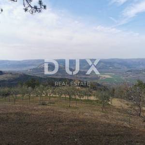 ISTRA,MOTOVUN-Poljoprivredno zemljište s predivnim pogledom