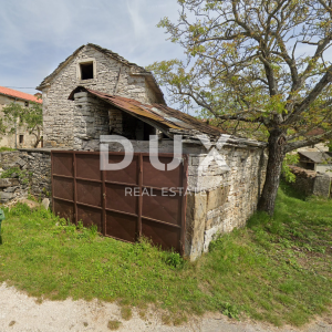 ISTRA,OPRTALJ - Starina s pogledom na prirodu