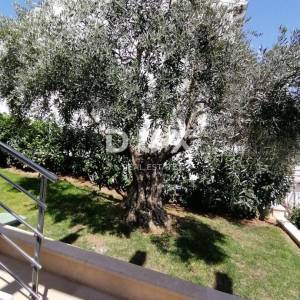 ISTRA,PREMANTURA - Kuća sa predivnim pogledom na more!