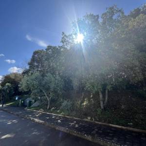 ISTRA,PULA - Kompleks zemljišta prvi red do mora