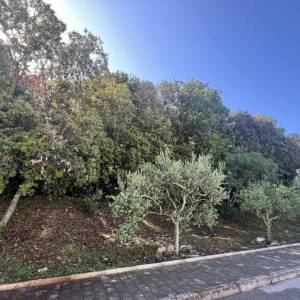 ISTRA,PULA - Kompleks zemljišta prvi red do mora