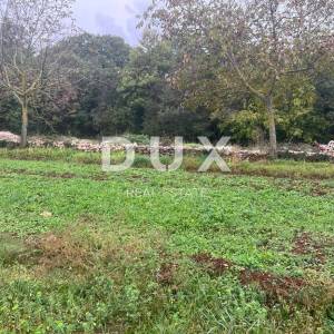 ISTRA,SVETI PETAR U ŠUMI - Građevinsko zemljište 