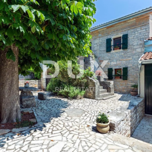 ISTRA,ŽMINJ(OKOLICA) - Impresivna istarska kamena kuća s bazenom