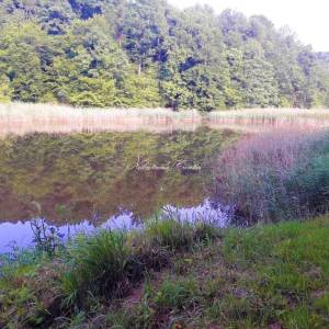  IVANEC, JEZERA 