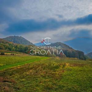 IVANEC, NOVOGRADNJA