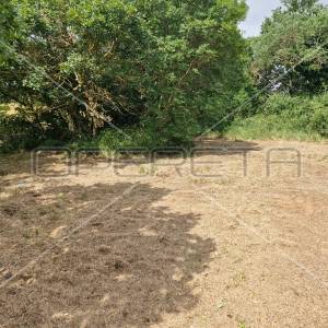 Jadreški, poljoprivredno zemljište 600m2, na mirnoj lokaciji, u blizini kuća