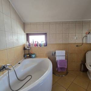 Jarun, kuća, dva stana, poslovni prostor, 311 m2