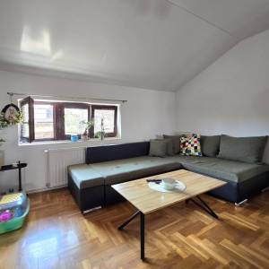 Jarun, kuća, dva stana, poslovni prostor, 311 m2