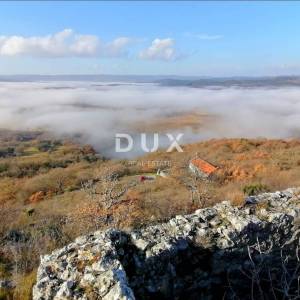 JESENOVIK, KRŠAN- zemljište 11500m2 (10000m2 poljoprivredno + 1500m građevinsko) s ucrtanom ruševnom kućom i štalom 