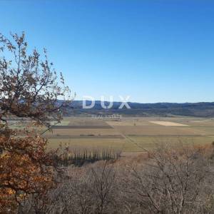 JESENOVIK, KRŠAN- zemljište 11500m2 (10000m2 poljoprivredno + 1500m građevinsko) s ucrtanom ruševnom kućom i štalom 