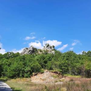 JESENOVIK, KRŠAN- zemljište 11500m2 (10000m2 poljoprivredno + 1500m građevinsko) s ucrtanom ruševnom kućom i štalom 