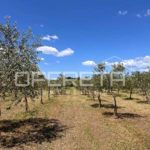 Juršići, Juršići, 2.449,00 m2, 83.000,00 EUR