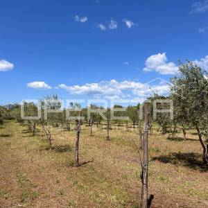 Juršići, Juršići, 2.449,00 m2, 83.000,00 EUR