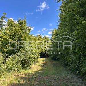Juršići, Juršići, 2.449,00 m2, 83.000,00 EUR