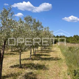Juršići, Juršići, 2.449,00 m2, 83.000,00 EUR