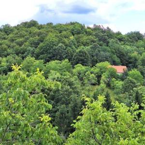 K. ZAGORJE: SOSKO IMANJE 11ha, u srcu prirode sa drvenom kućom 6x9 m (prodaja)