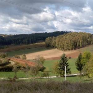 K. ZAGORJE: SOSKO IMANJE 11ha, u srcu prirode sa drvenom kućom 6x9 m (prodaja)