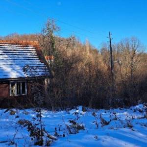 K. ZAGORJE: SOSKO IMANJE 11ha, u srcu prirode sa drvenom kućom 6x9 m (prodaja)