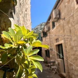 Kamena Kuća 105m²: Savršen Spoj Šarma, Povijesti i Mediteranskog Ugođaja, Ston