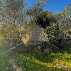 Kamena kućica u prirodi, Lumbarda, otok Korčula