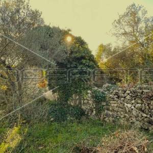 Kamena kućica u prirodi, Lumbarda, otok Korčula