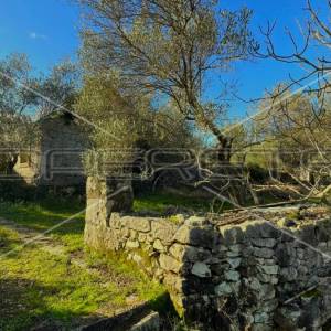 Kamena kućica u prirodi, Lumbarda, otok Korčula