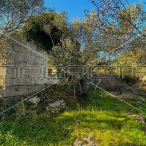Kamena kućica u prirodi, Lumbarda, otok Korčula