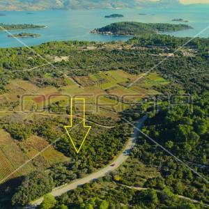 Kamena kućica u prirodi, Lumbarda, otok Korčula