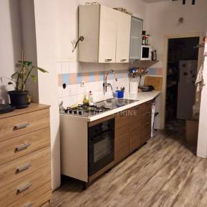 Kastav, 208.44m2, dva stana, okućnica, pogled na more
