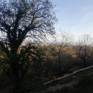 KASTAV, CENTAR - Starina za adaptaciju