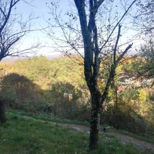 KASTAV, CENTAR - Starina za adaptaciju