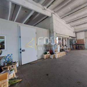 Kastav, poslovna hala od 516m2 