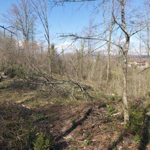 KASTAV, ŽEGOTI, PAVLETIĆI - građevinski teren 3200m2 za  stambenu ili poslovno-stambenu zgradu / obiteljsku kuću