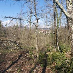 KASTAV, ŽEGOTI, PAVLETIĆI - građevinski teren 3200m2 za  stambenu ili poslovno-stambenu zgradu / obiteljsku kuću