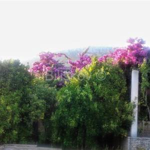 Kastela, Kastel Luksic, samostojeca kuca i cca. 3.000 m2 zemljista.