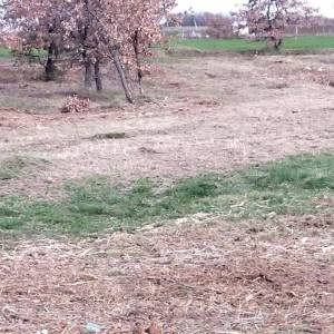 Kaštelir, građevinsko zemljište  1276 m²