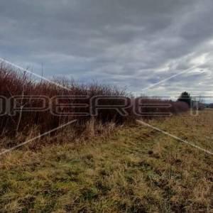 Kate Mlinarić, Blato, 5.343,00 m2, 897.624,00 EUR