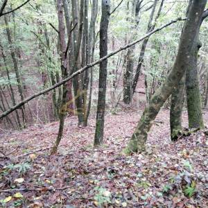 Klana, građevinsko zemljište 8.493m2