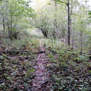 Klana, građevinsko zemljište 8.493m2